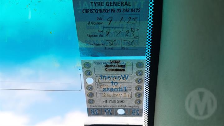 Lazy Owl Image