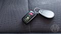 Lazy Owl Image