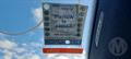Lazy Owl Image
