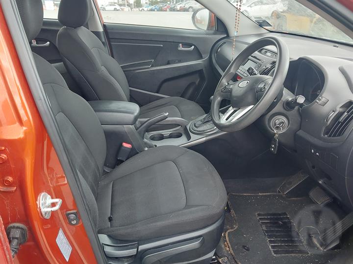 Lazy Owl Image