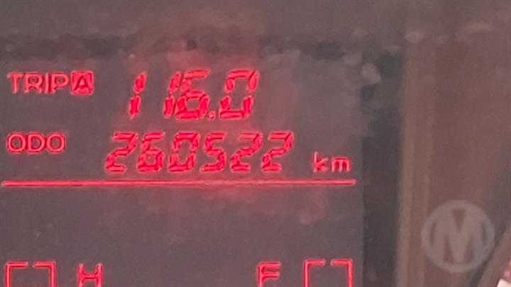 Lazy Owl Image