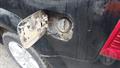 Lazy Owl Image