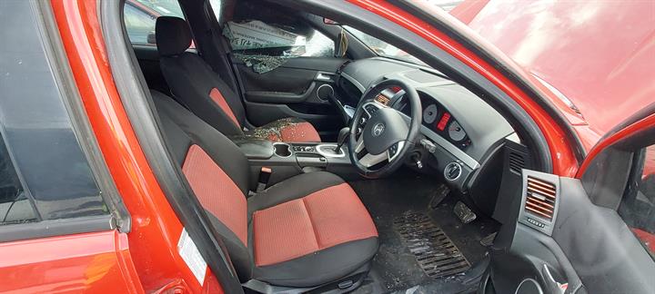Lazy Owl Image