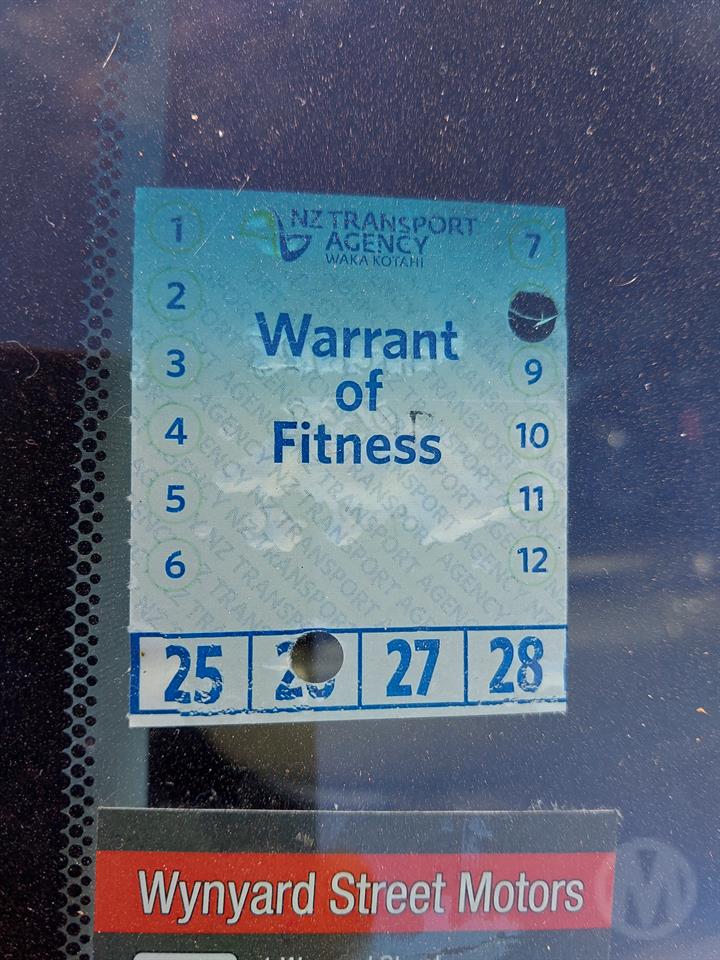 Lazy Owl Image
