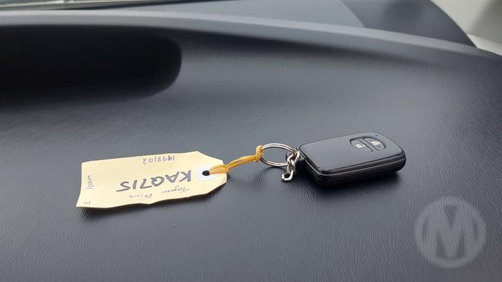 Lazy Owl Image