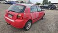 Lazy Owl Image