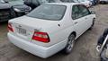 Lazy Owl Image