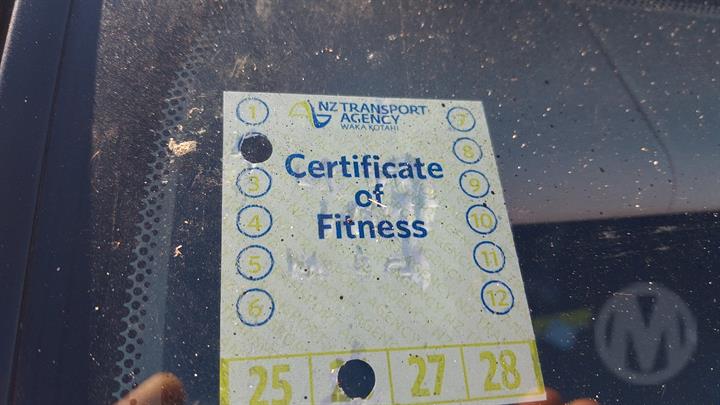 Lazy Owl Image