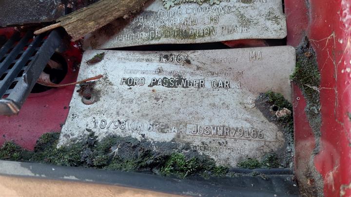 Lazy Owl Image