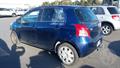 Lazy Owl Image