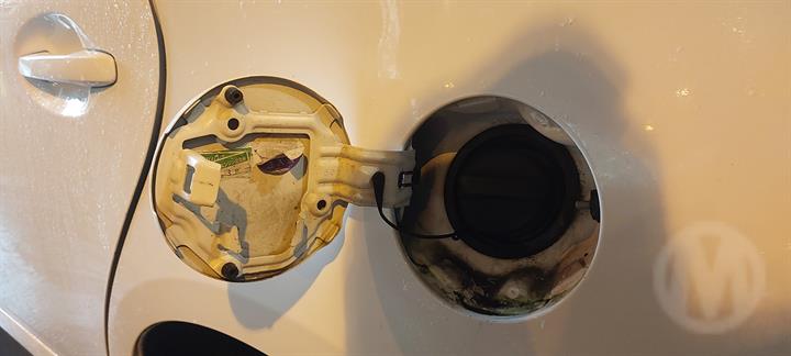 Lazy Owl Image
