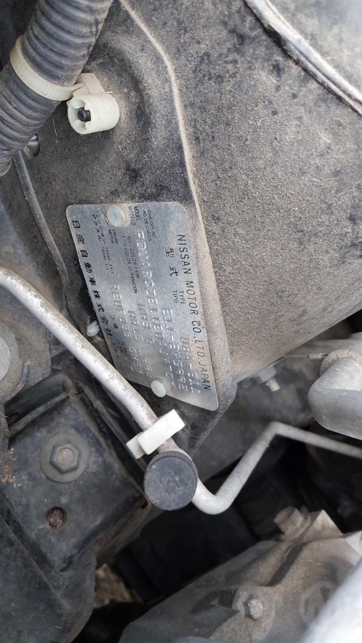 Lazy Owl Image
