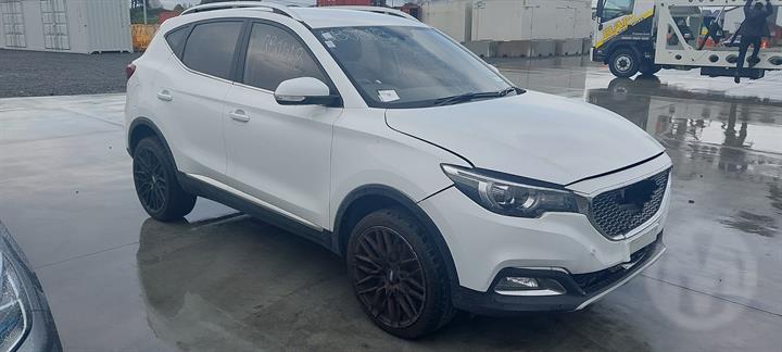 Lazy Owl Image