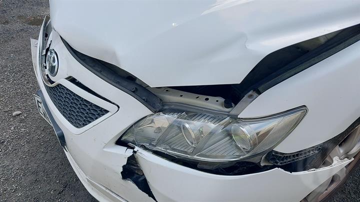 Lazy Owl Image
