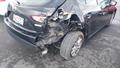 Lazy Owl Image