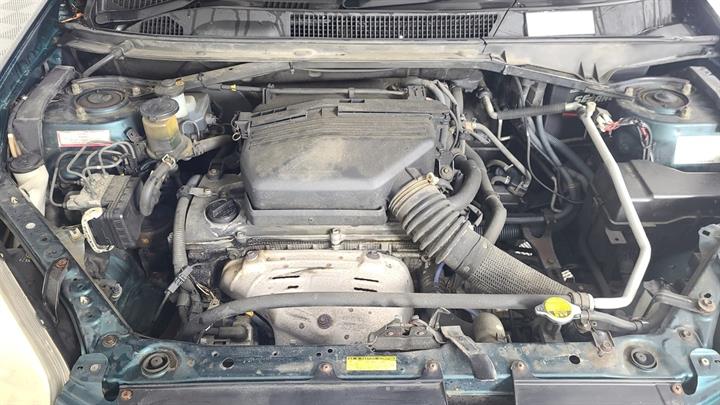 Lazy Owl Image