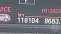 Lazy Owl Image