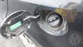 Lazy Owl Image