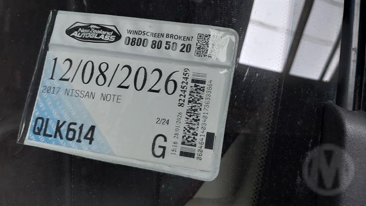 Lazy Owl Image