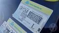Lazy Owl Image