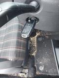 Lazy Owl Image