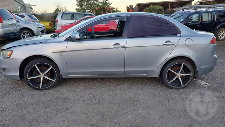 Lazy Owl Image