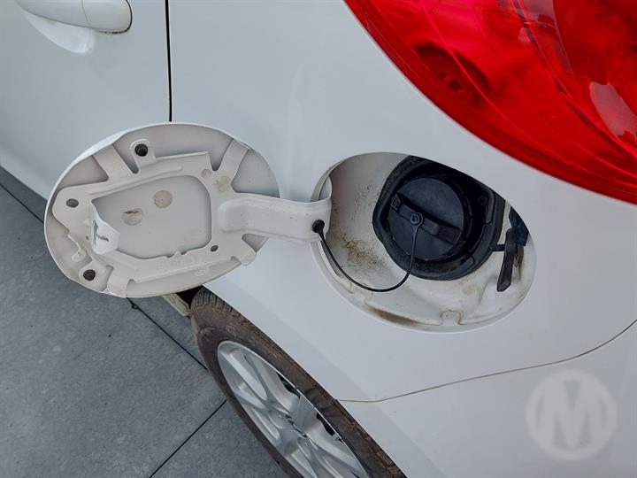 Lazy Owl Image