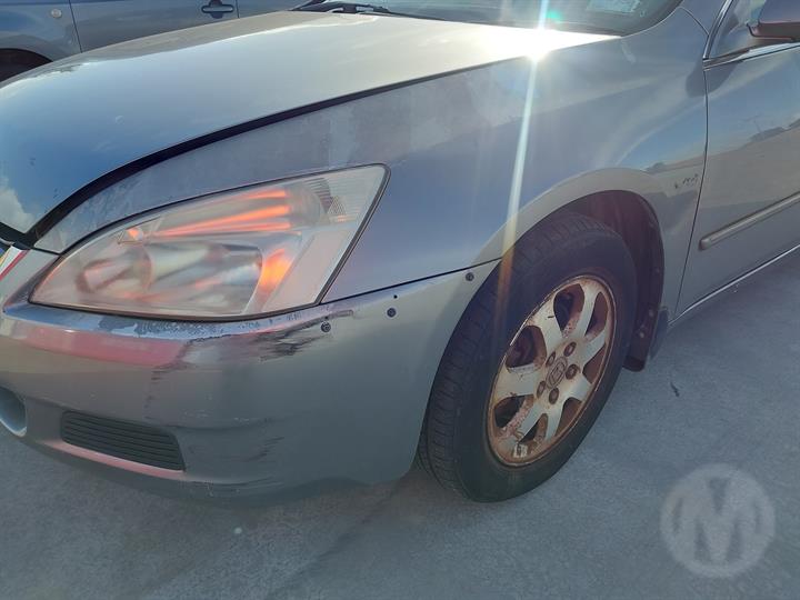 Lazy Owl Image