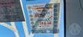 Lazy Owl Image