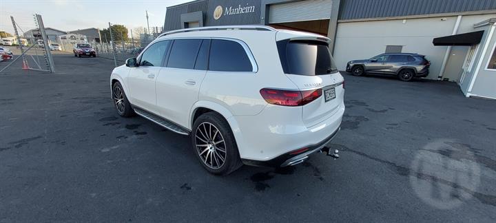 Lazy Owl Image
