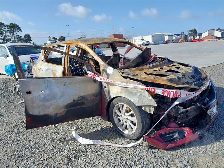 Lazy Owl Image