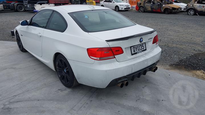 Lazy Owl Image