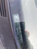 Lazy Owl Image