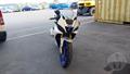 Lazy Owl Image