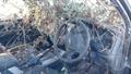 Lazy Owl Image
