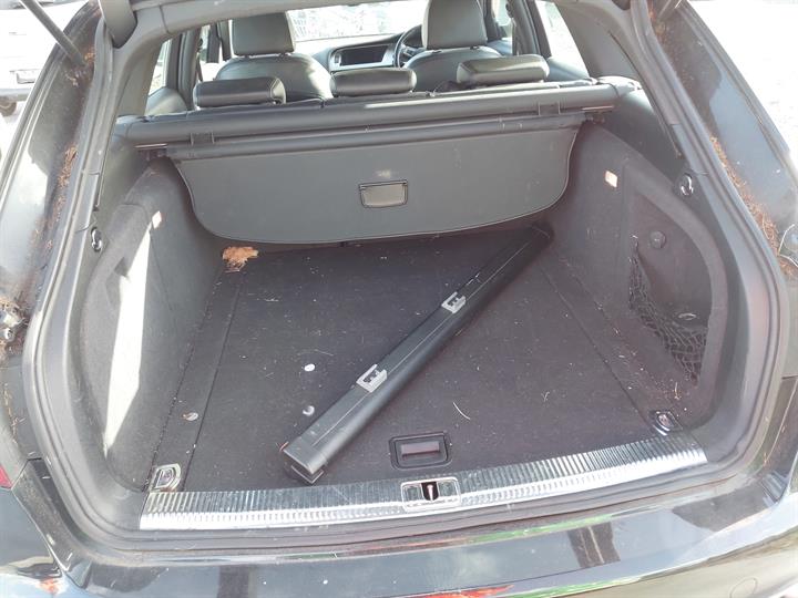 Lazy Owl Image