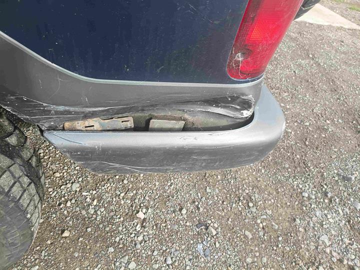 Lazy Owl Image