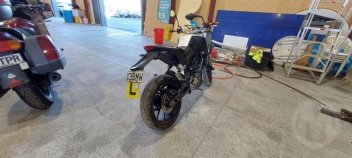 Lazy Owl Image