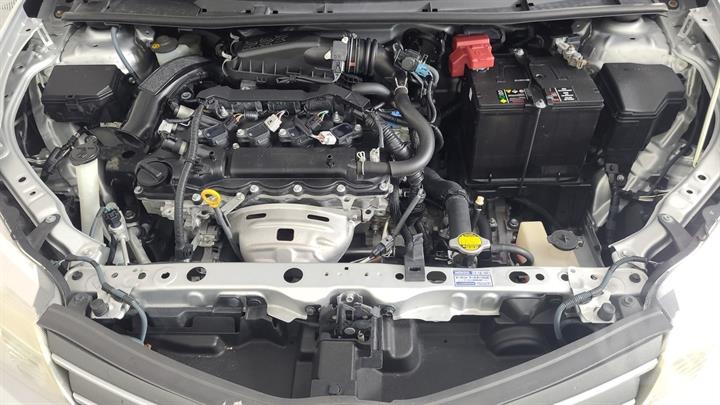 Lazy Owl Image