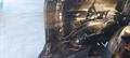 Lazy Owl Image