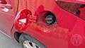 Lazy Owl Image
