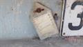 Lazy Owl Image