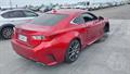 Lazy Owl Image