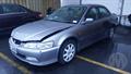 Lazy Owl Image