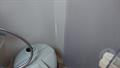Lazy Owl Image