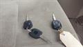 Lazy Owl Image