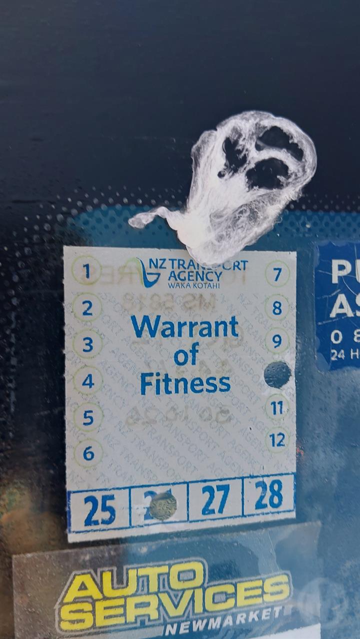 Lazy Owl Image