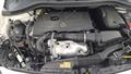 Lazy Owl Image