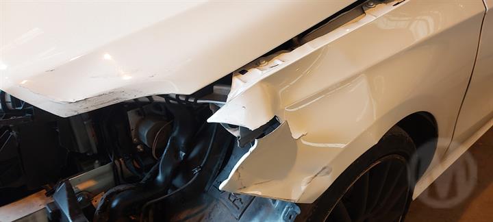 Lazy Owl Image