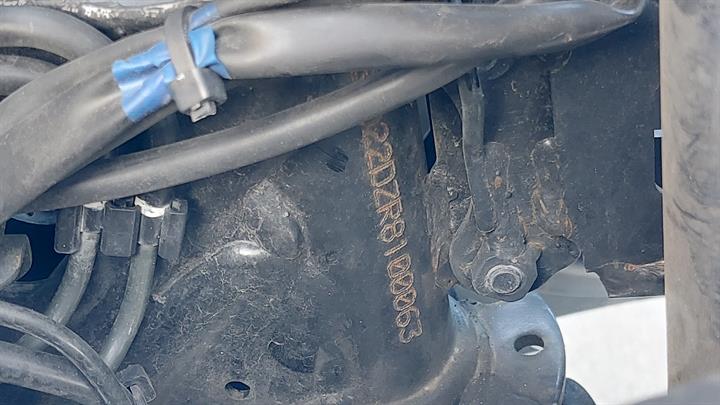 Lazy Owl Image